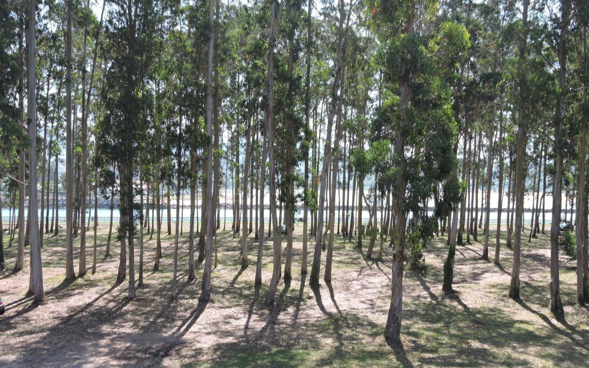 Apartamento Pie De Playa, El Puntal-Villaviciosa 비야비시오사 외부 사진